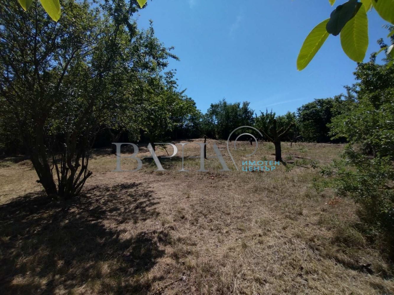 Парцел - Варна, област, с.Константиново - 0