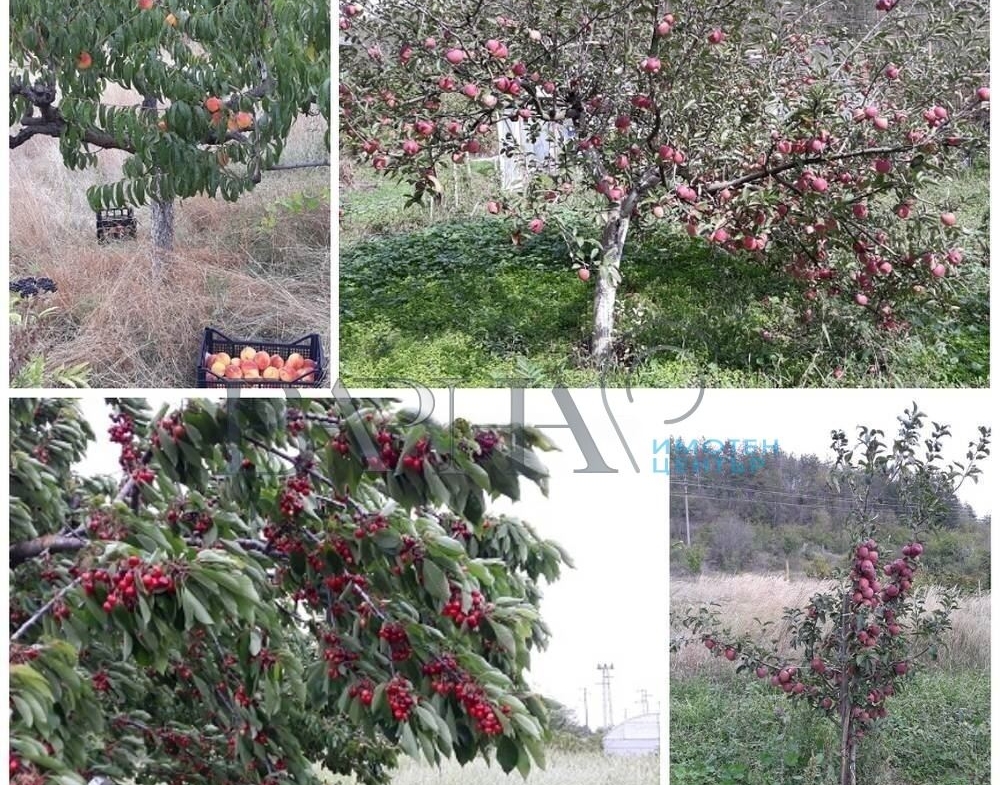 Парцел - Варна, област, с.Припек - 0