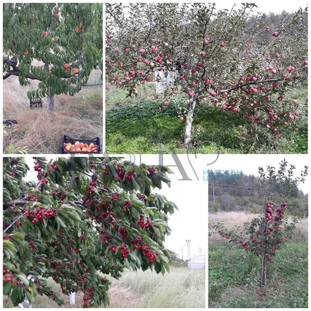 Парцел - Варна, област, с.Припек - 0