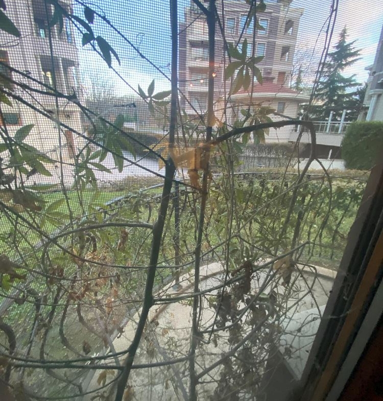 Просторен Двустаен Апартамент - 0