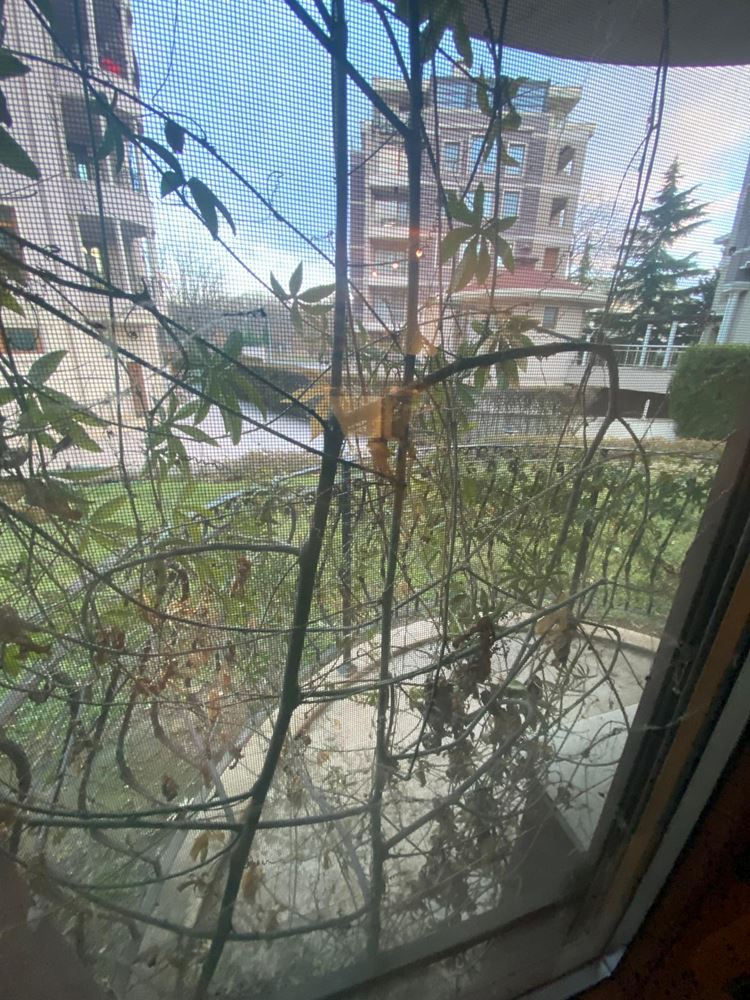 Просторен Двустаен Апартамент - 0